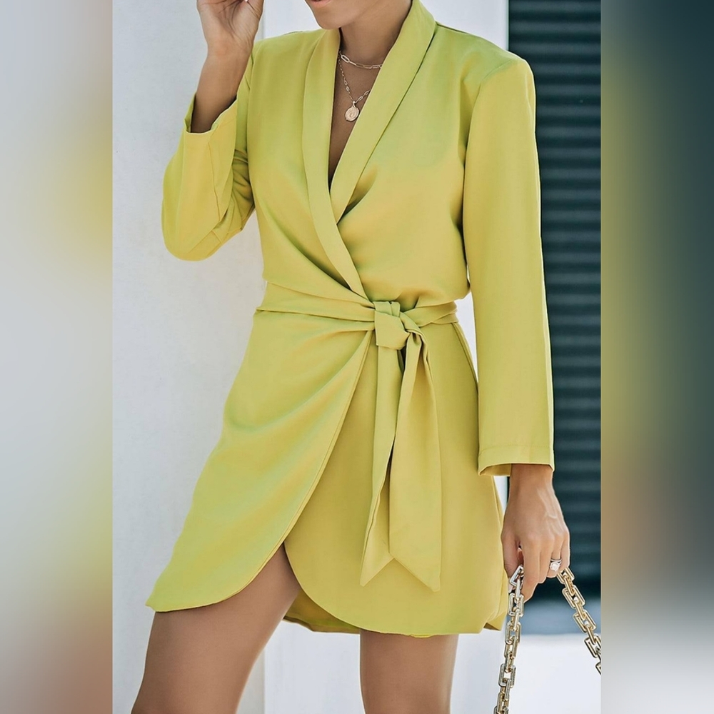 ZARA Dress - Picture 1 of 12